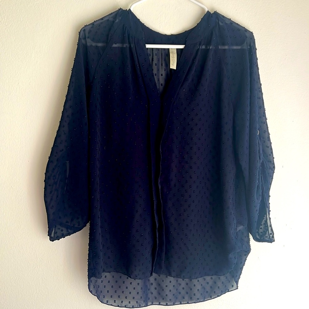 Women’s V-Neck Swiss Dot Sheer Blouse - Navy - Medium
